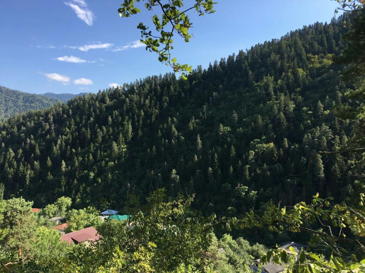 Serenity Likani Villa Hotel Borjomi Exterior foto