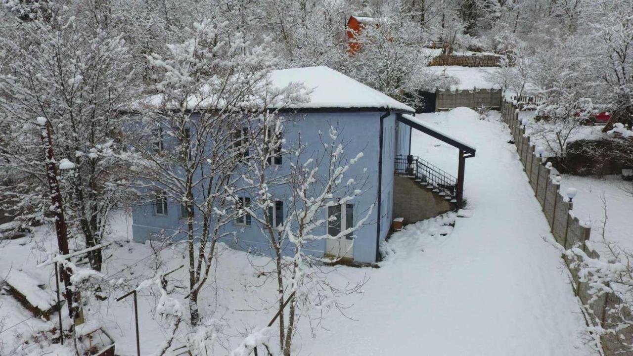 Serenity Likani Villa Hotel Borjomi Exterior foto