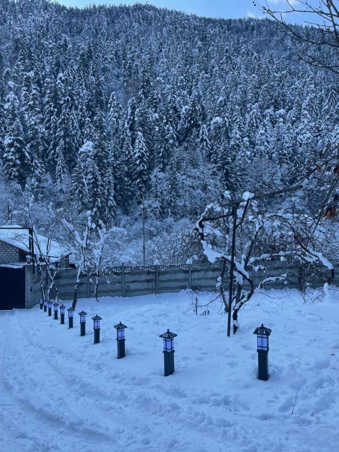 Serenity Likani Villa Hotel Borjomi Exterior foto